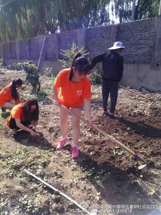 不辞劳苦 炽阳下播种希望